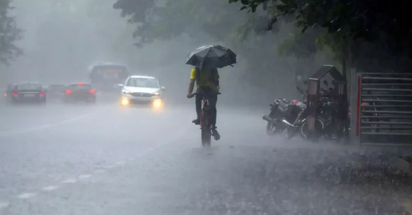 ️സംസ്ഥാനത്ത് മഴ തുടരും; 11 ജില്ലകളിൽ യെല്ലോ അലേർട്ട് Rain