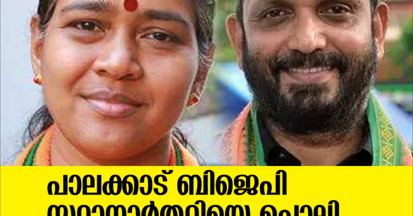 പാലക്കാട് ഉപതിരഞ്ഞെടുപ്പില്‍ ബിജെപി സ്ഥാനാര്‍ത്ഥിയെ ചൊല്ലി തര്‍ക്കം, സുരേന്ദ്രനേക്കാള്‍ മുന്‍തൂക്കം ശോഭ സുരേന്ദ്രന്..?